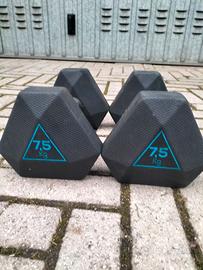 Kettlebell olimpioniche 8kg e dumbell 7.5