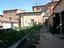Immagine 7