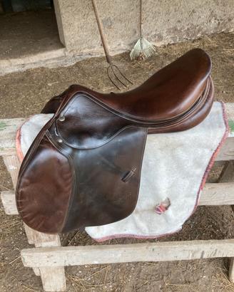 Sella da salto equipe 17.5