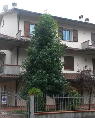 Posto letto in stanza singola