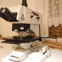 Microscopio Leica Inspectron 880