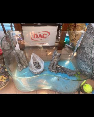Acquario