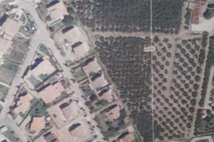 Terreno coltivato a Sutri VT