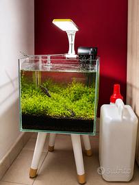 Acquario Nano in vetro