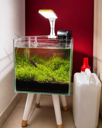 Acquario Nano in vetro