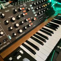 behringer model d 