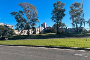 Appartamento 71 mq libero da subito