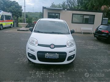 FIAT Panda Iii N1 2019 Panda N1 1.2 Easy 69cv 4p.t