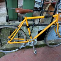 Bicicletta Veloretti