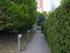 Immagine 10
