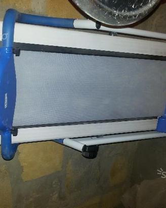 Camminatore magnetico