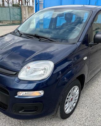 Fiat Panda 1.2 benz-full-2020