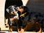 Immagine 23