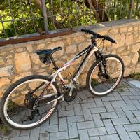 Mountain bike ragazzo