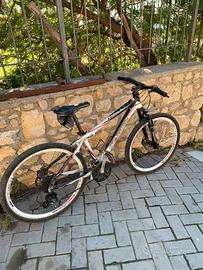 Mountain bike ragazzo