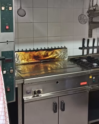 Friggitrice professionale big
