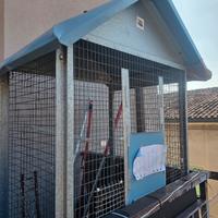 Voliera gabbia per uccelli