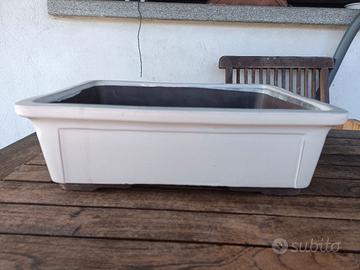 vaso bonsai grande ceramica