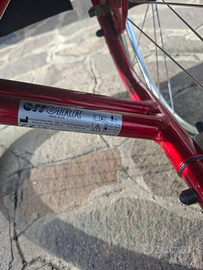 Carrozzina disabili