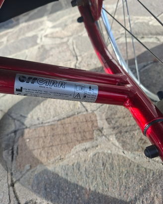 Carrozzina disabili