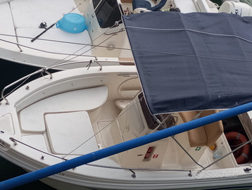 Open 6 MT con motore