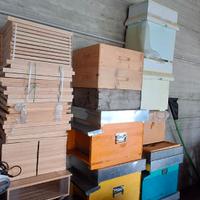 Apicoltura. Prezzo trattabile