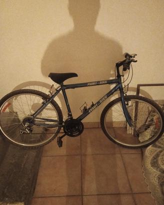 bicicletta 