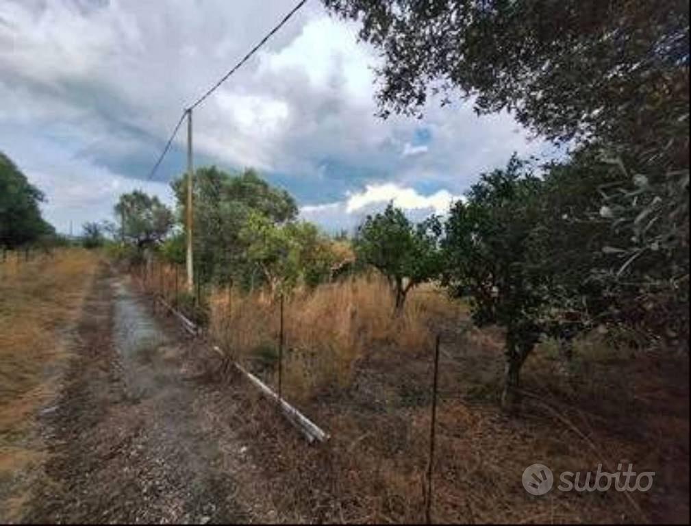 Immobile in asta di 2920 m² a Bovalino - Vista 2