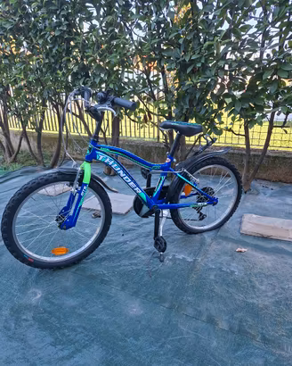 bicicletta mtb bambino 