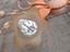Immagine 3
