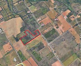 Terreno agricolo, Contrada Cannizzaro
