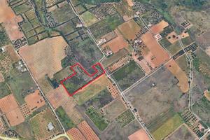 Terreno agricolo, Contrada Cannizzaro