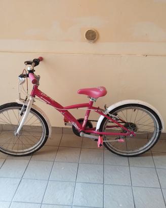 bici 20
