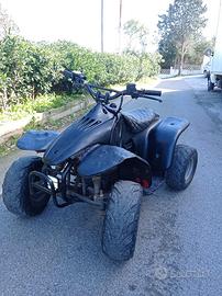 Lem Quad elettrico 1000w