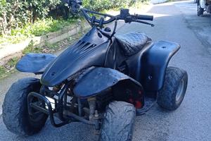 Lem Quad elettrico 1000w