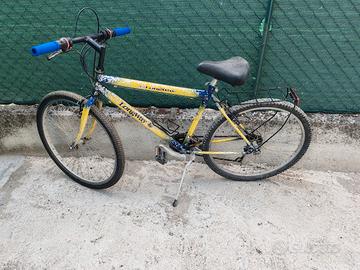 Bici uomo Longway 26"