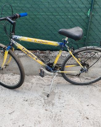 Bici uomo Longway 26"