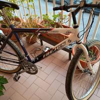 bici MTB frejus