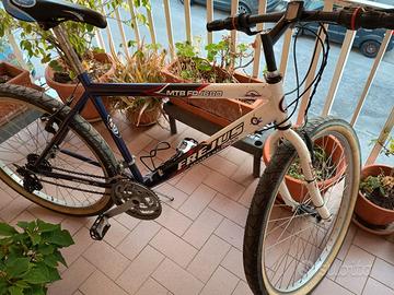 bici MTB frejus