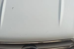 Ford kuga cc 1500 2018