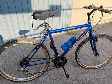 bicicletta 