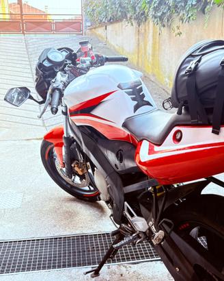 Yamaha Tzr 50