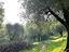 Immagine 22