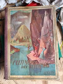 libro L'ultimo dei Moicani 