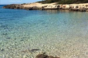 La pineta salentina