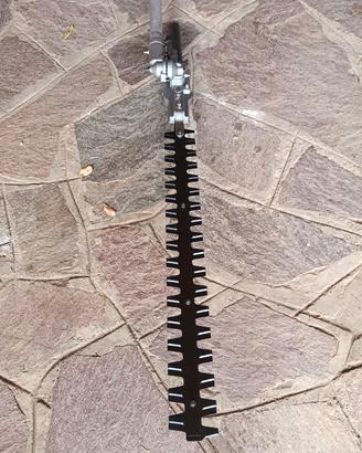 tosasiepi telescopico