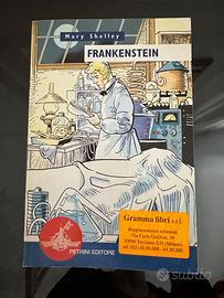 Frankenstein book e esercizi 