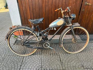 Aquilotto Bianchi - 1960