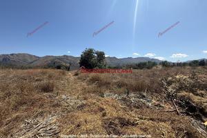 Terreno, Calatafimi Alta - Molara - Villa Tasca, P