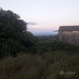 Toscana rustici già residenziali